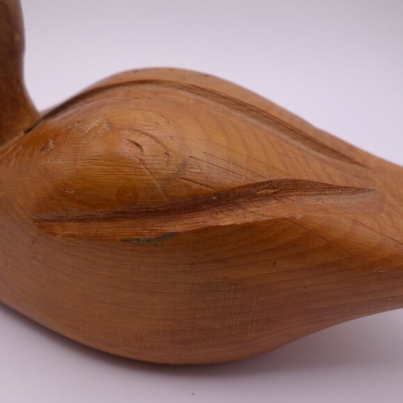 Wood Duck - Picture 15 of 16